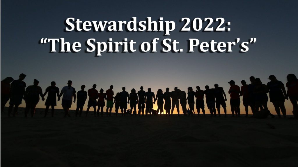 Stewardship 2022